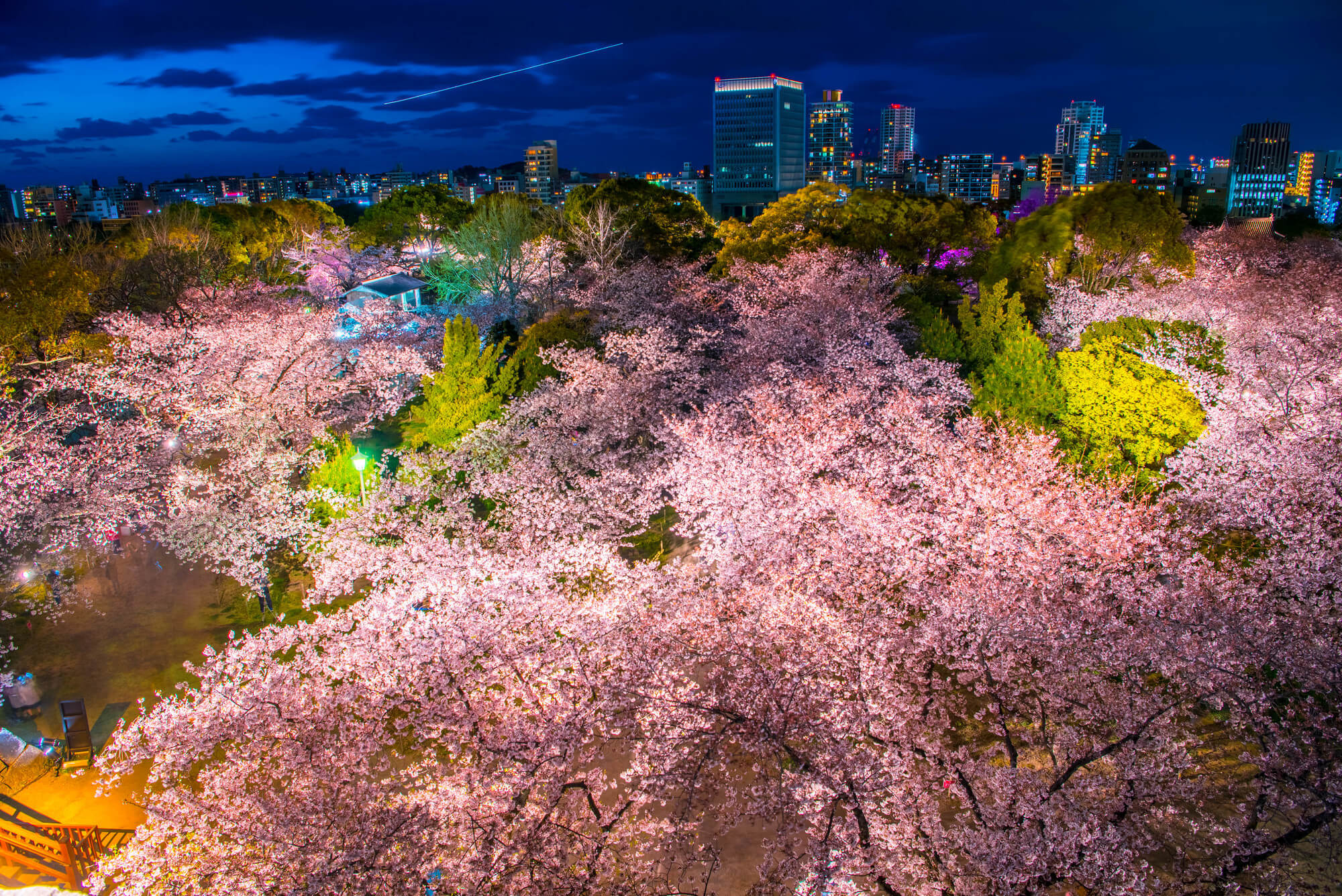 舞鶴公園の画像